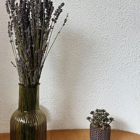 Апартаменты 2 Pieces Vue Dans Le Quartier Historique De