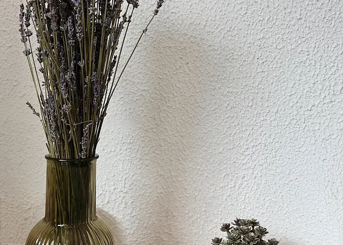 Апартаменти 2 Pieces Vue Dans Le Quartier Historique De